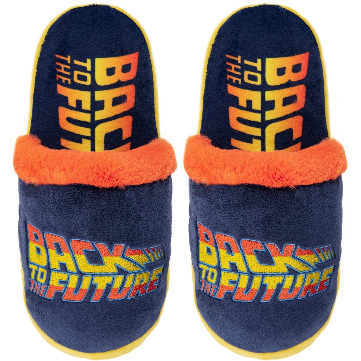 Back to the Future Fuzzy Slides