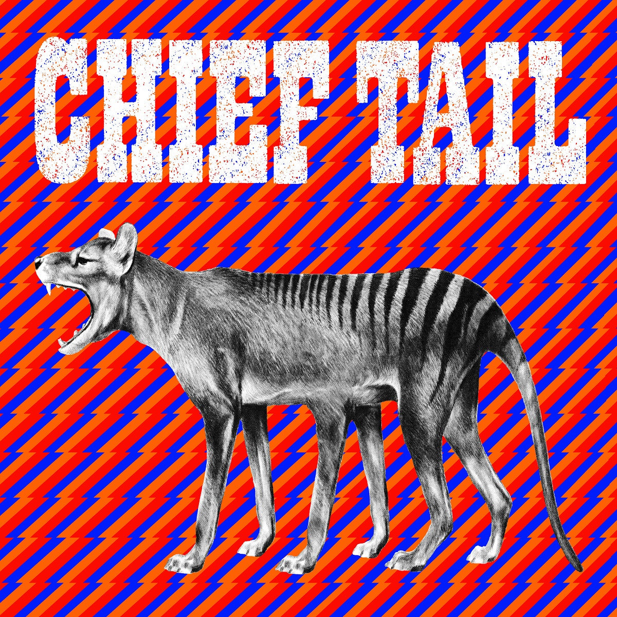 Chief Tail - Chief Tail Pink Color Vinyl LP Record