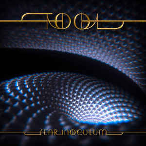 Tool – Fear Inoculum Color 2xLP Vinyl LP Record *Unofficial Release*