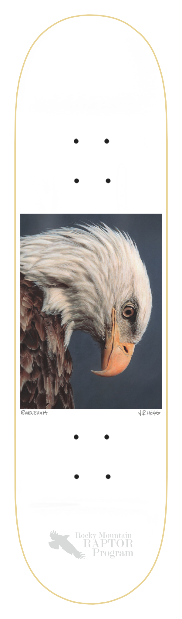 ZERO BURLEIGH BALD EAGLE 8.5" SKATEBOARD DECK